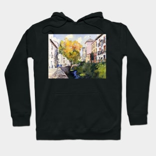 Rio Darro, Granada Hoodie